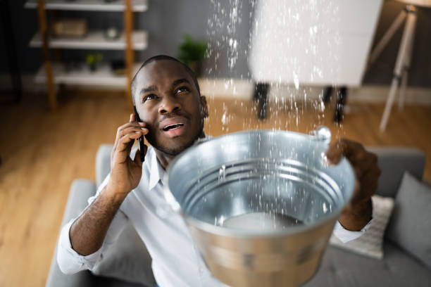 Best Water damage restoration near me  in Bolingbrook, IL