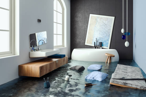 Best 24/7 water damage repair  in Bolingbrook, IL