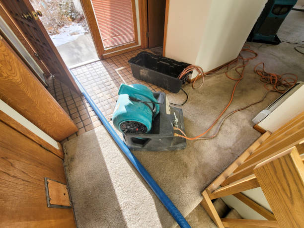 Best Local water damage restoration  in Bolingbrook, IL