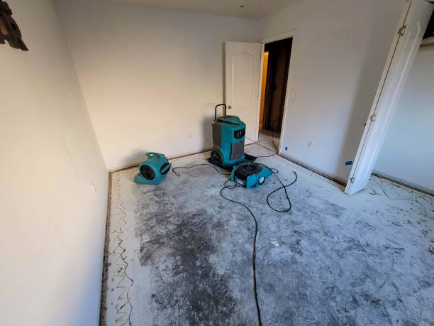 Best Basement water damage restoration  in Bolingbrook, IL