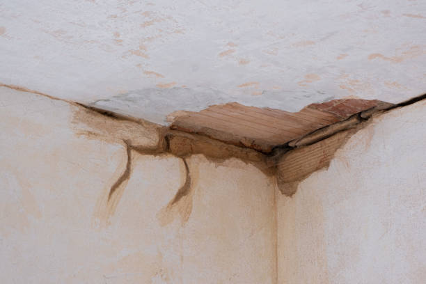 Best Residential water damage restoration  in Bolingbrook, IL