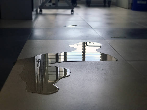 Best 24/7 water damage repair  in Bolingbrook, IL