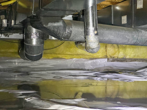 Best Water damage mitigation services  in Bolingbrook, IL