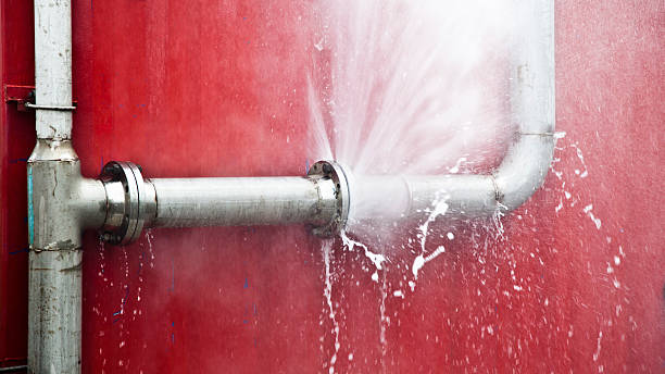 Best Water damage repair service  in Bolingbrook, IL